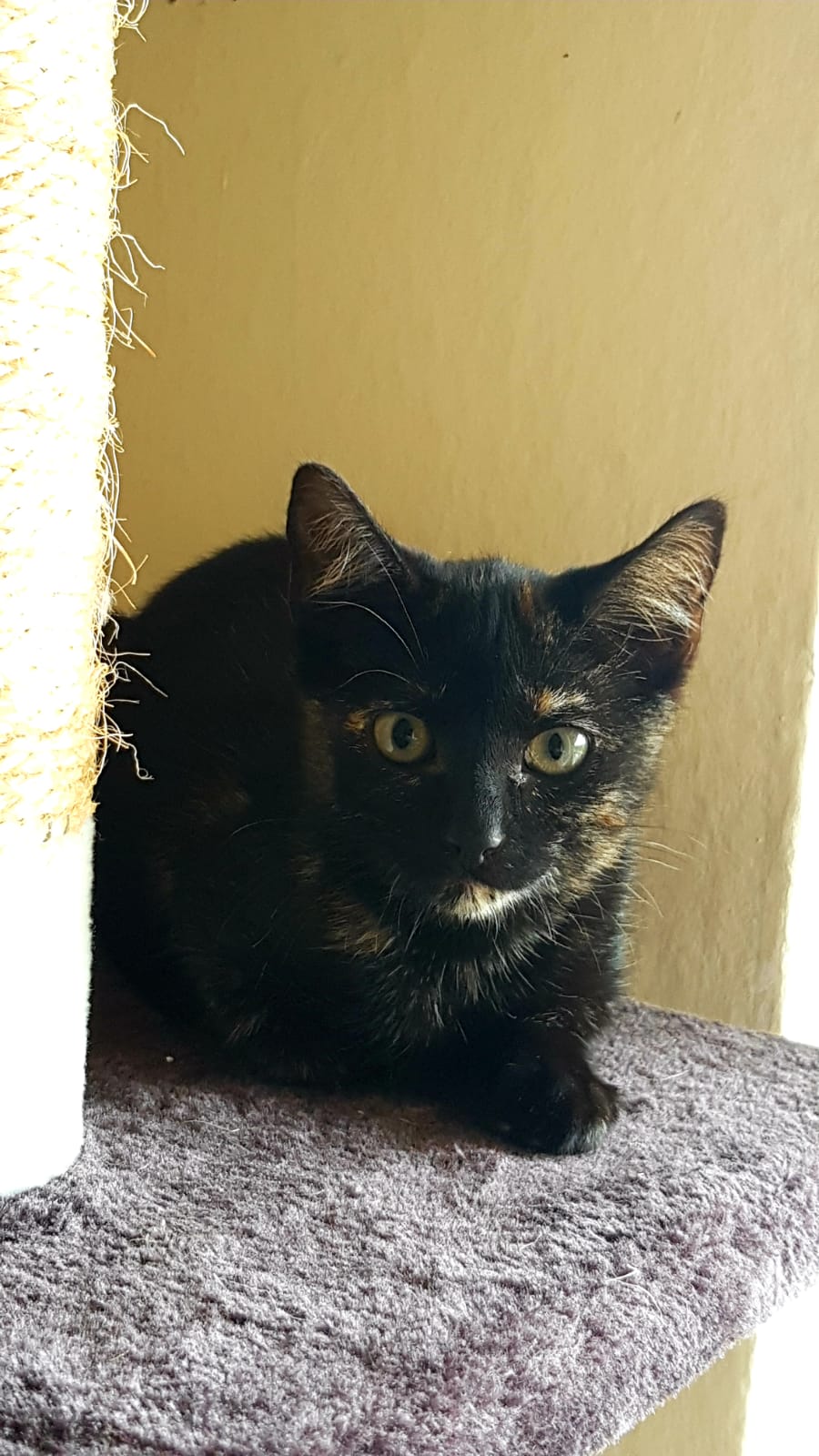 WhatsApp Image 2020-07-27 at 14.22.24