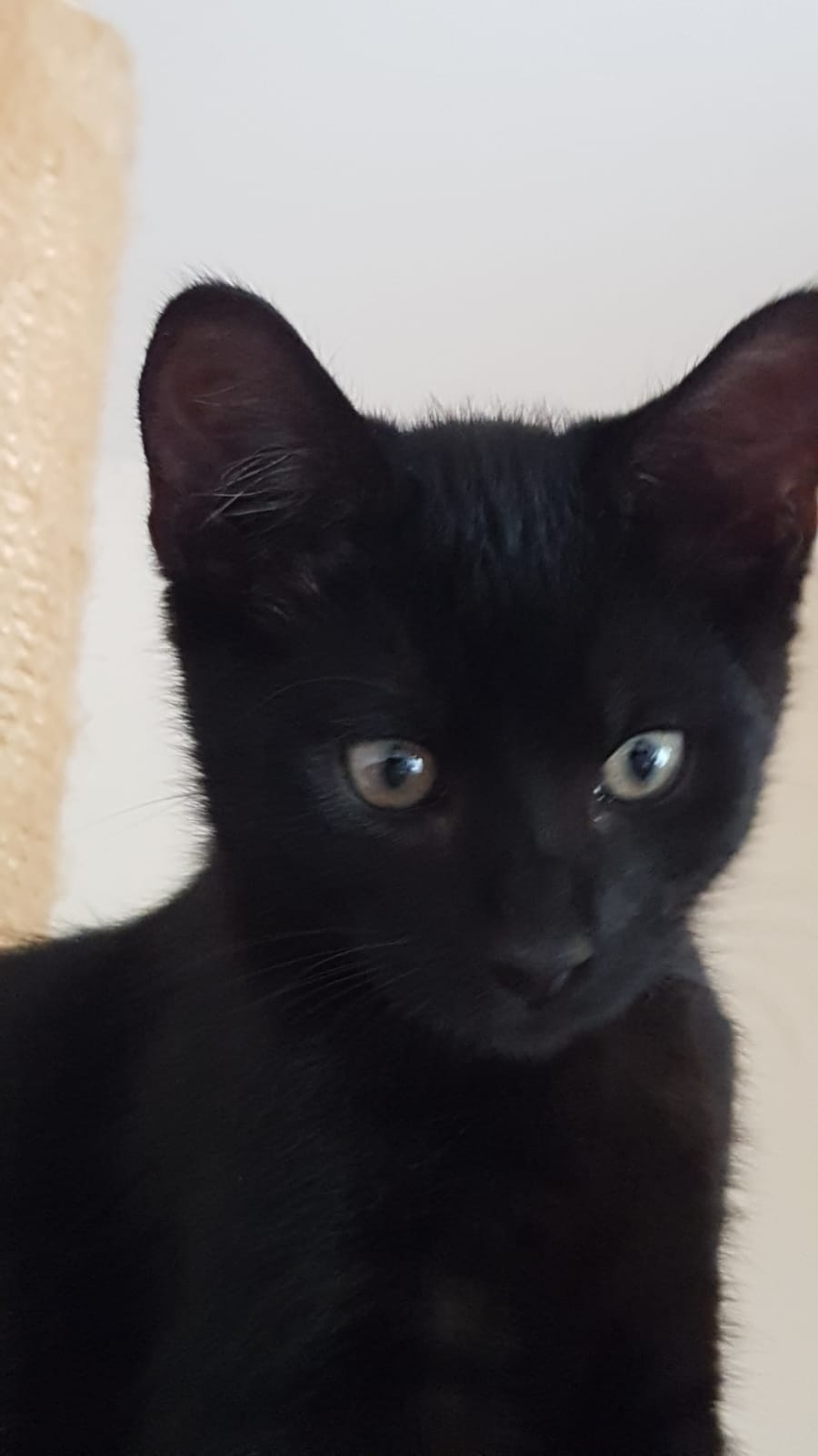 WhatsApp Image 2020-07-27 at 14.45.54