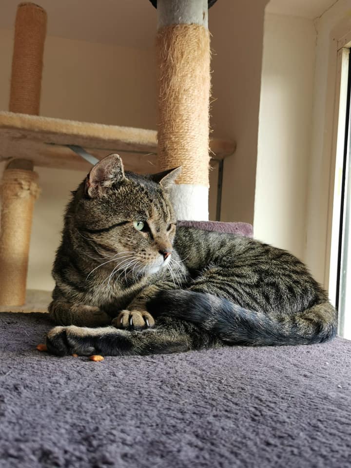 230617909_1978539958971251_4751174938885172061_n