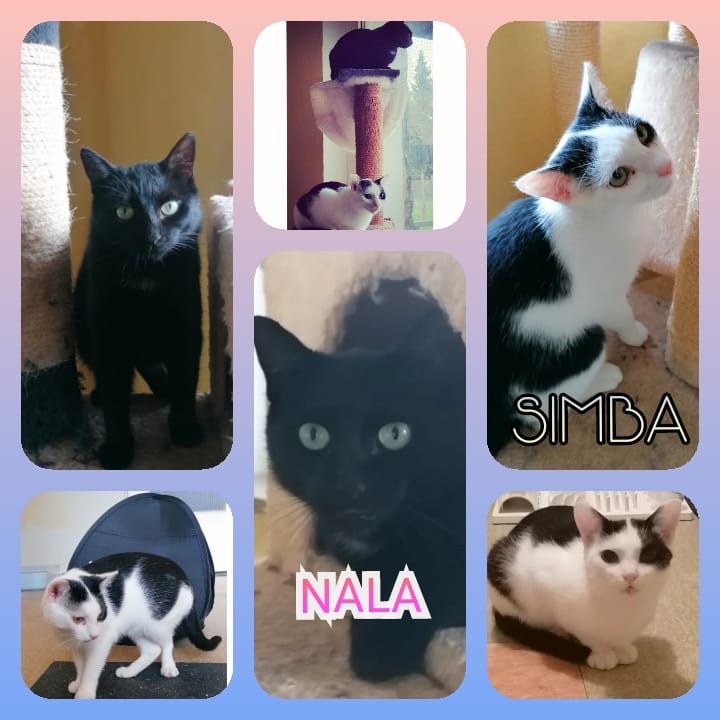 247714855_2043733789118534_7437945818352450632_n