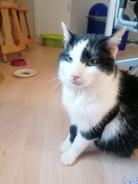 275299850_2153012701523975_8339140954707698497_n