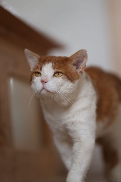 356410630_605724018359432_7319129288939277487_n