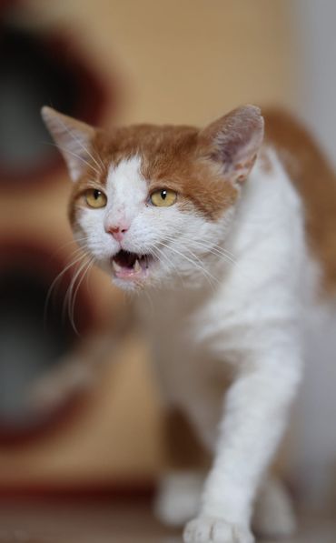 357433194_605723955026105_6904281073347139519_n