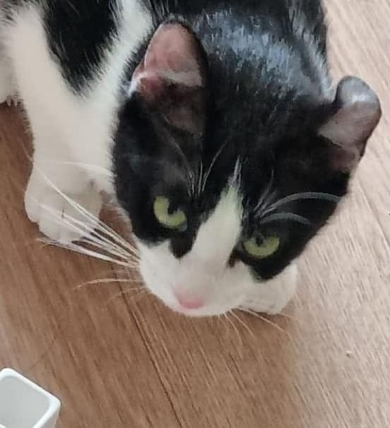 358072402_602940055304495_1161434162991170732_n