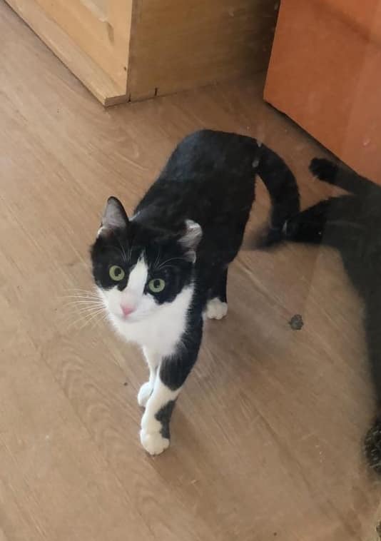 358106199_602939895304511_2769962756421708745_n