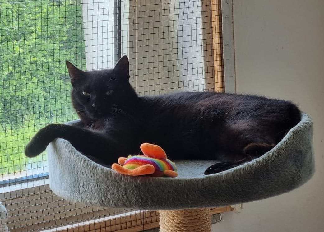 355142307_602940325304468_8236752449739585376_n