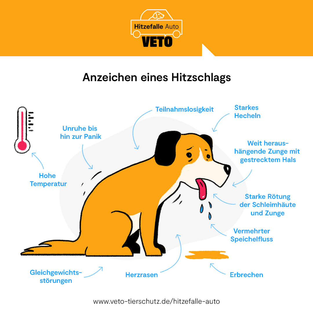 Vergessene Tierherzen 7 Berge E V Hitzefalle Auto