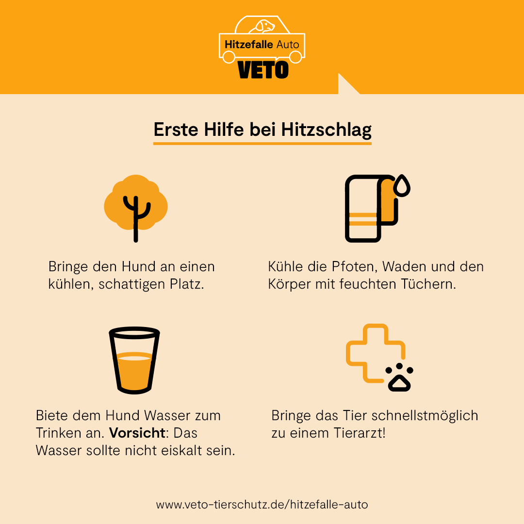 Vergessene Tierherzen 7 Berge E V Hitzefalle Auto