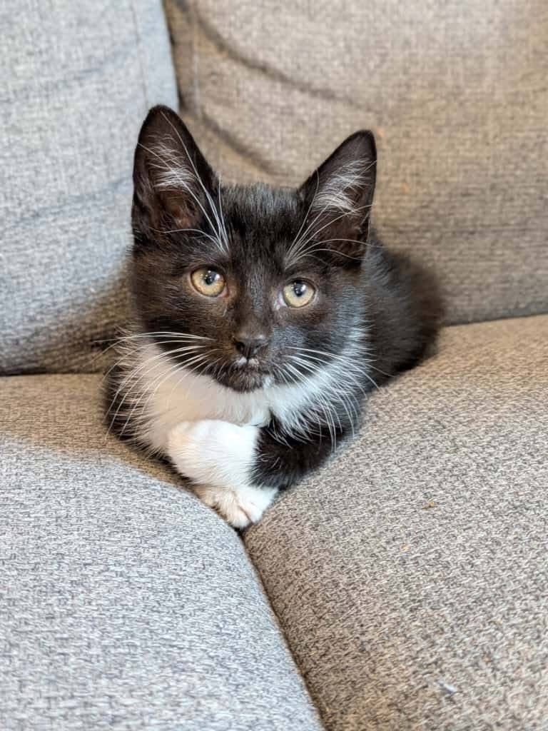 2026-01-02 Findus_02