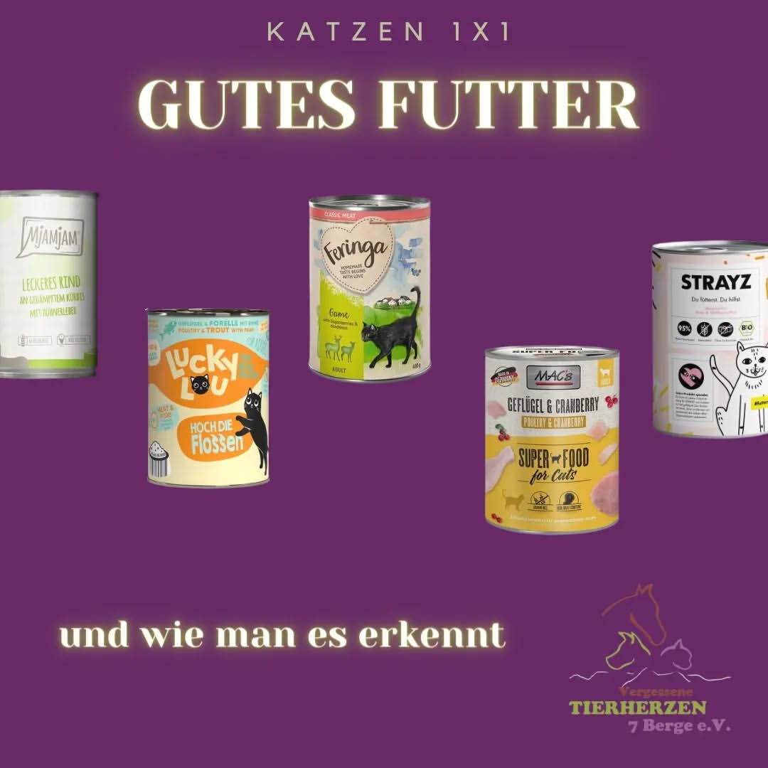 01_01_Gutes Futter