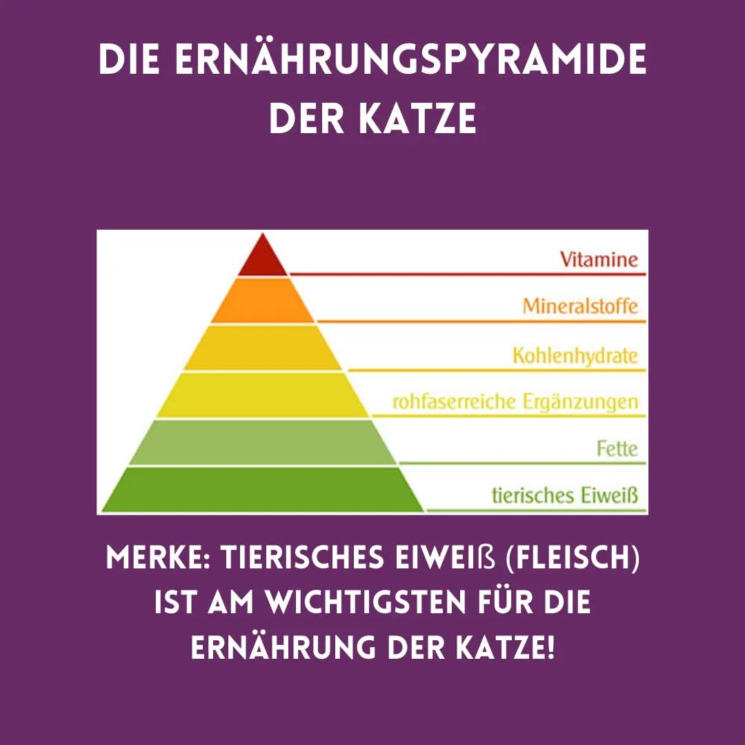 01_02_Ernährungspyramide