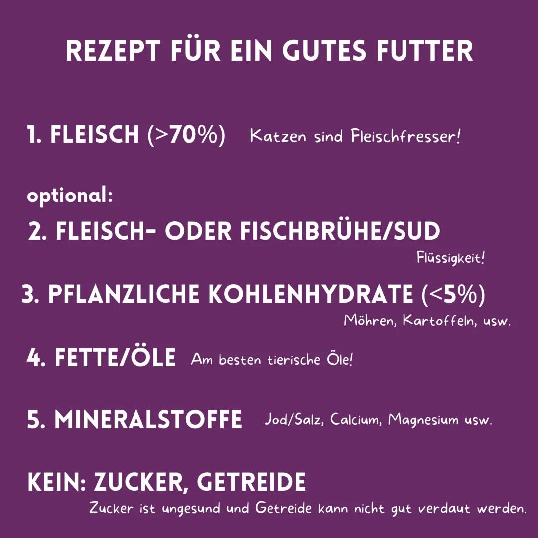 01_03_Rezepte für ein gutes Futter