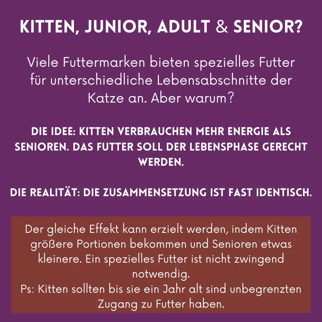 01_05_Spezielles Futter