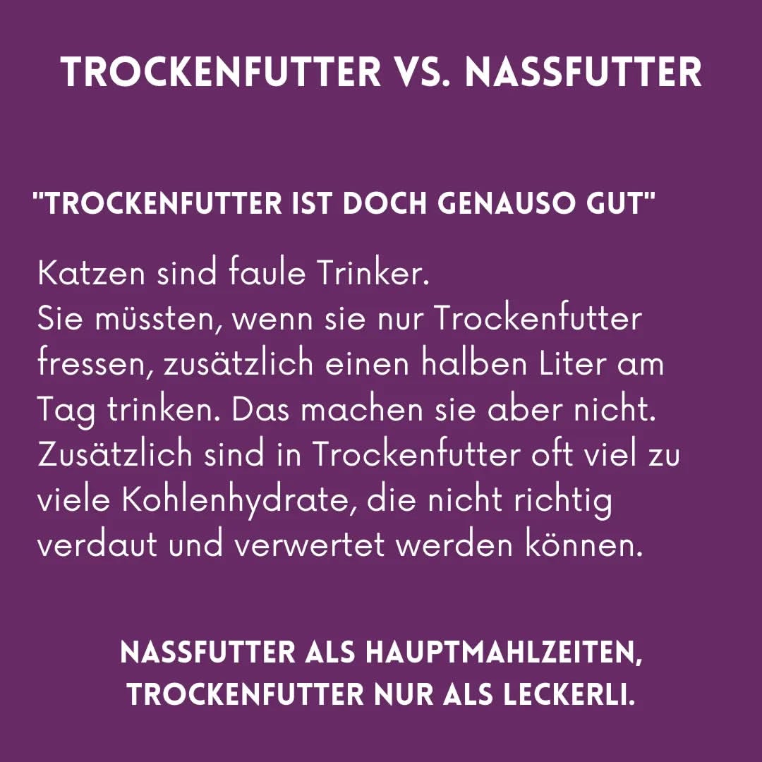 01_07_Trockenfutter vs Nassfutter