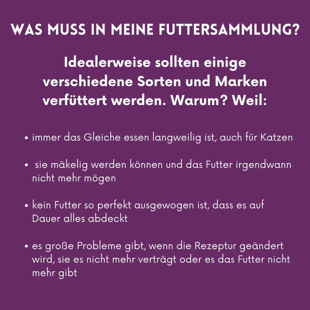 01_08_Was muss in meine Futtersammlung