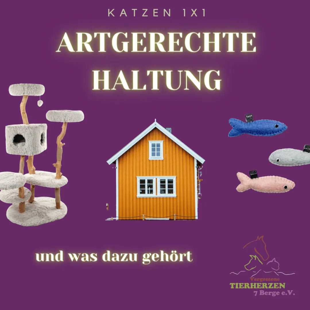 02_01_Artgerechte Haltung