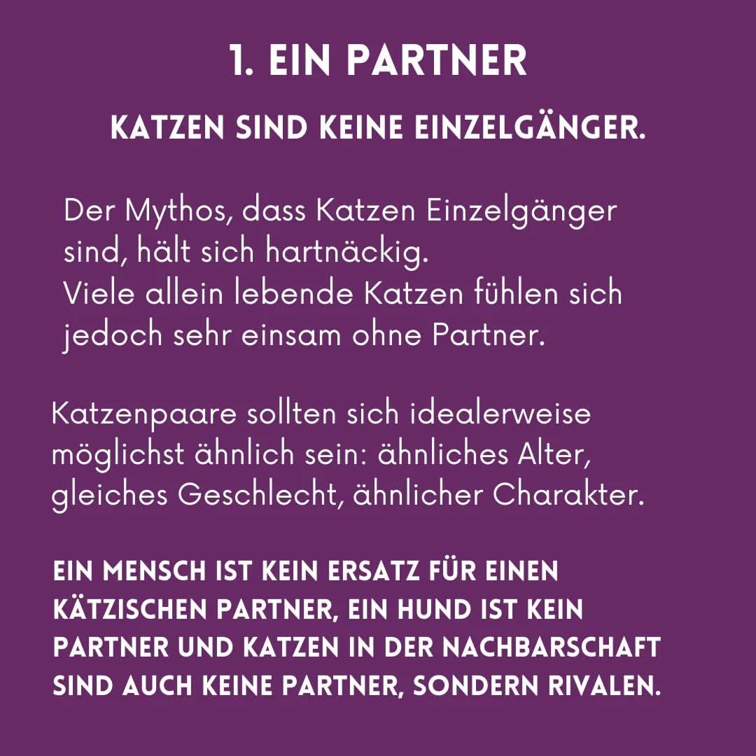 02_02_Partner