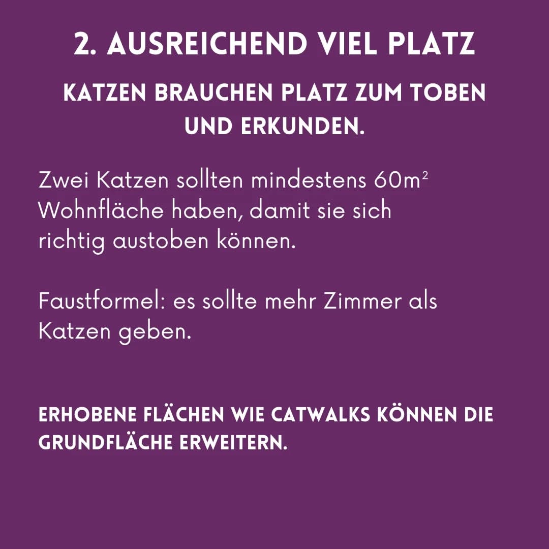02_03_Ausreichend Platz
