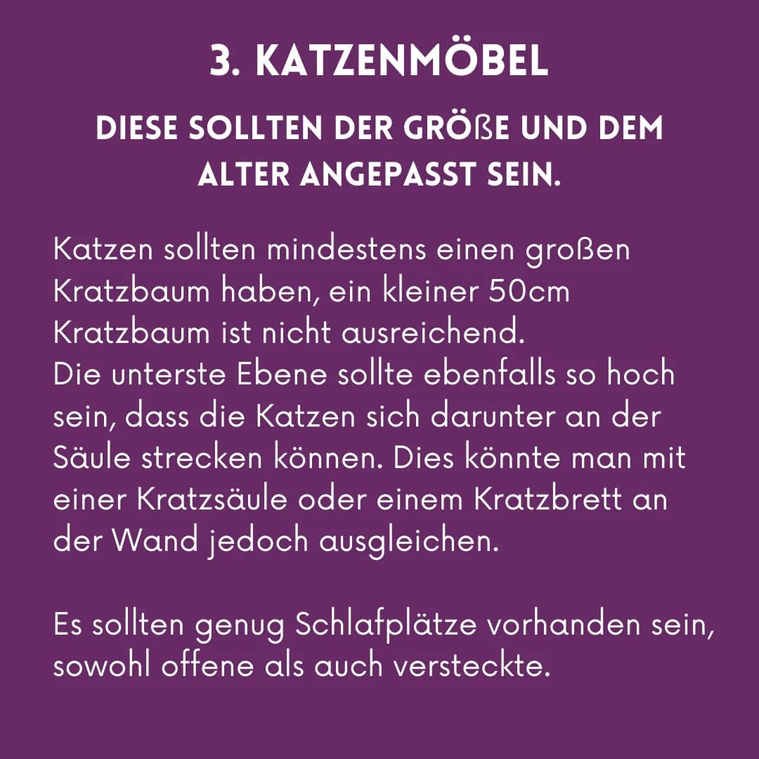02_04_Katzenmöbel