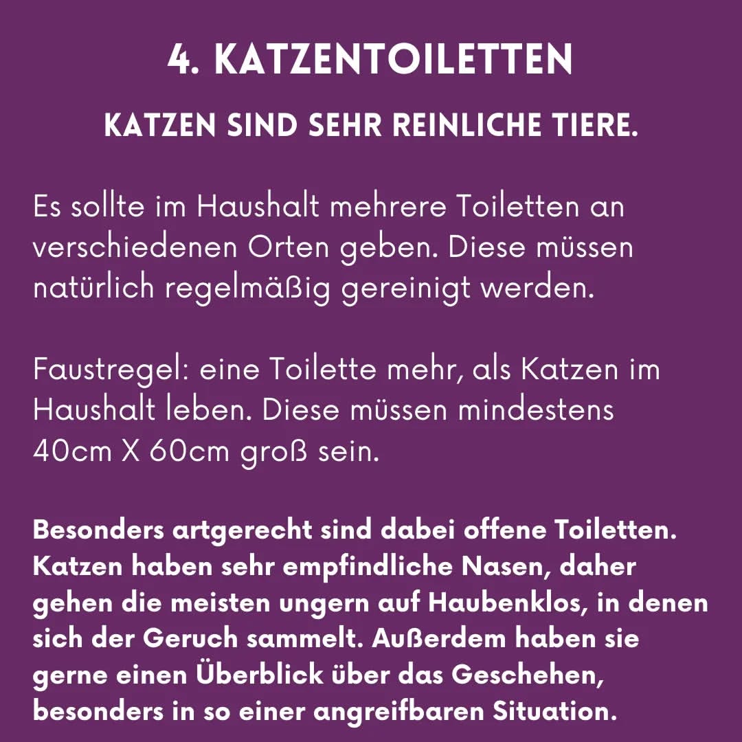 02_05_Katzentoilette