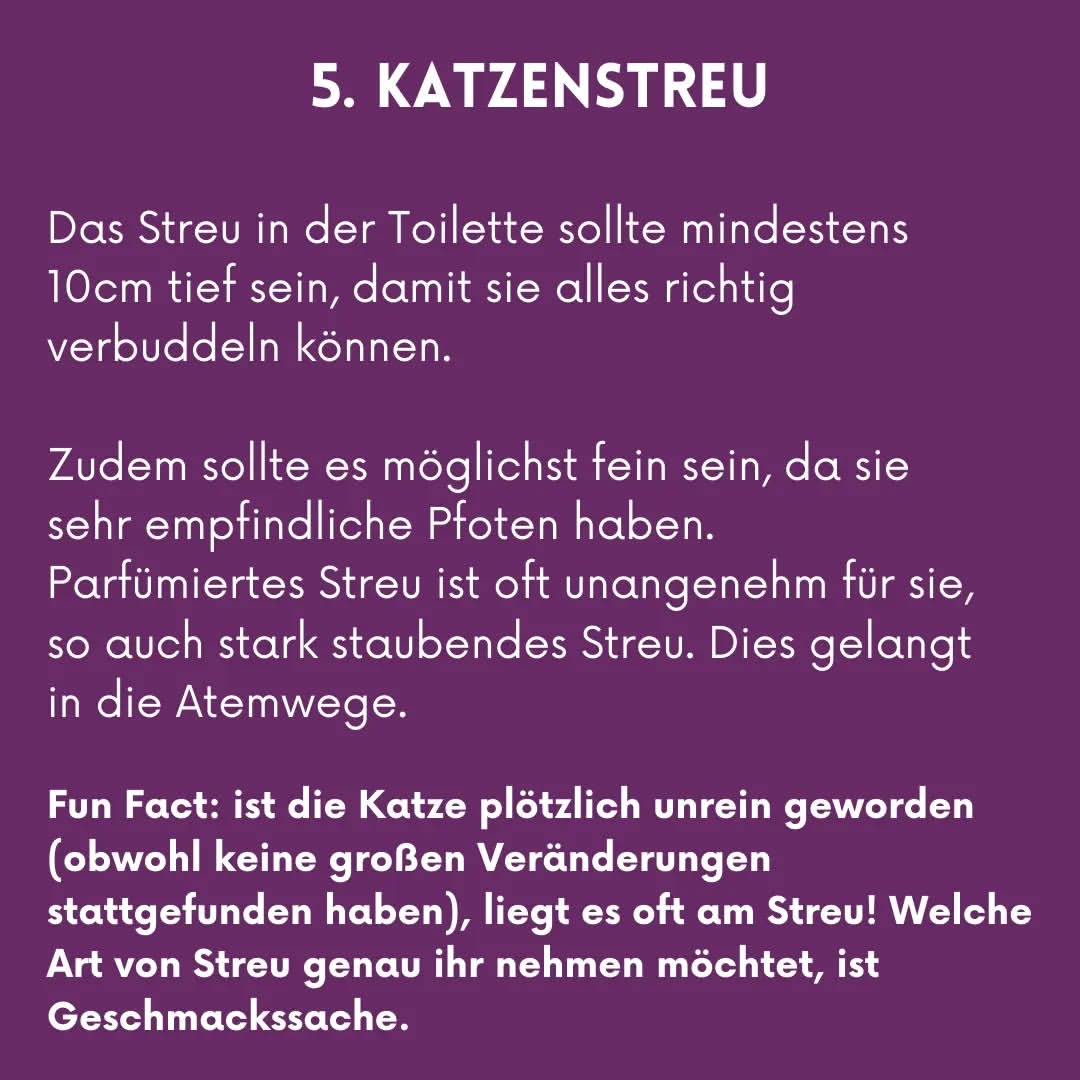 02_06_Katzenstreu