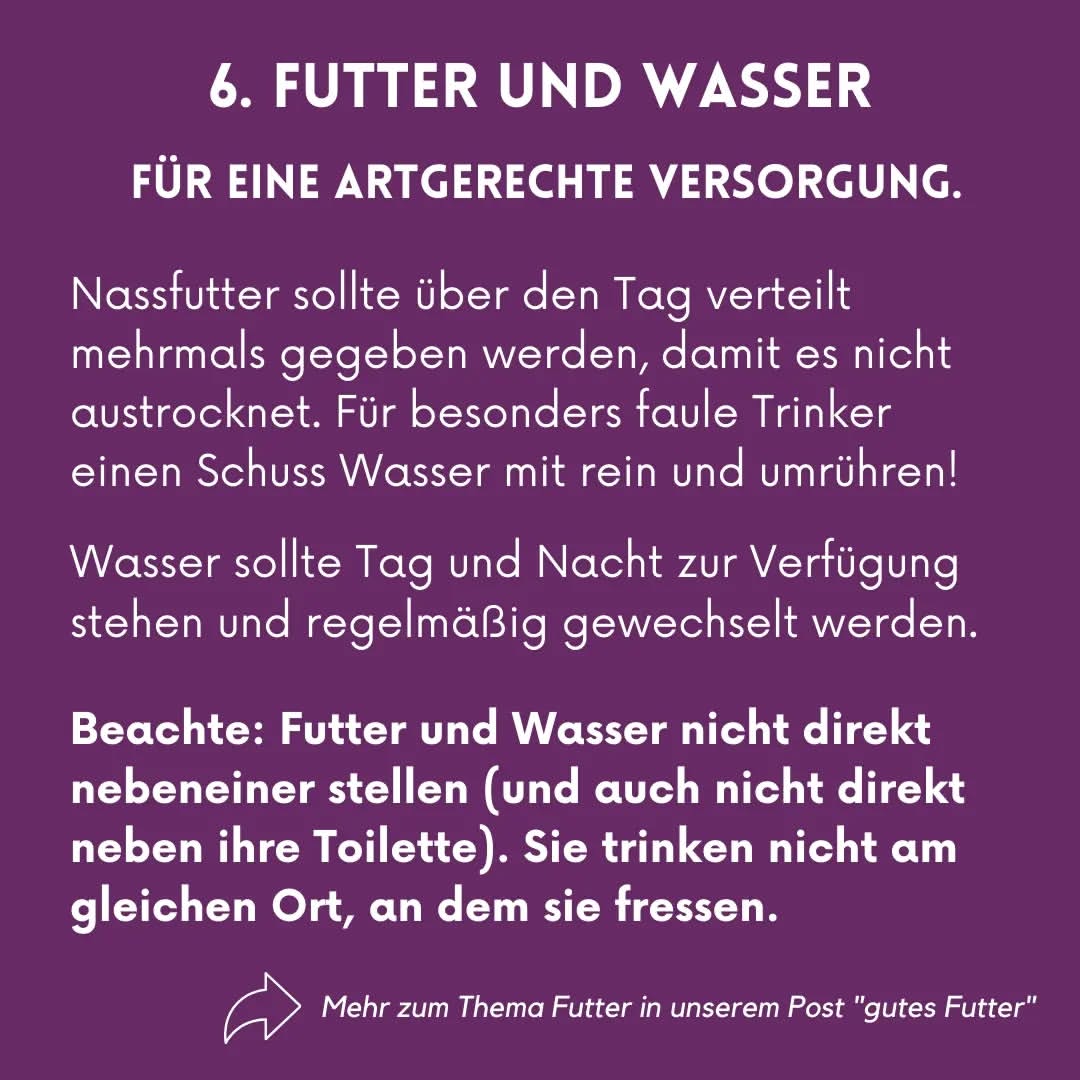 02_07_Futter und Wasser