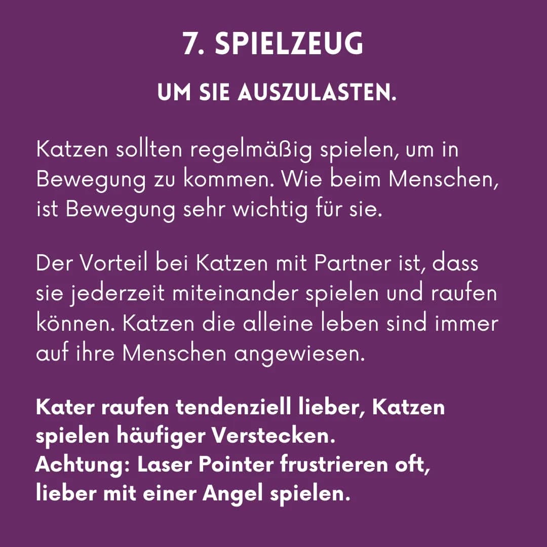 02_08_Spielzeug