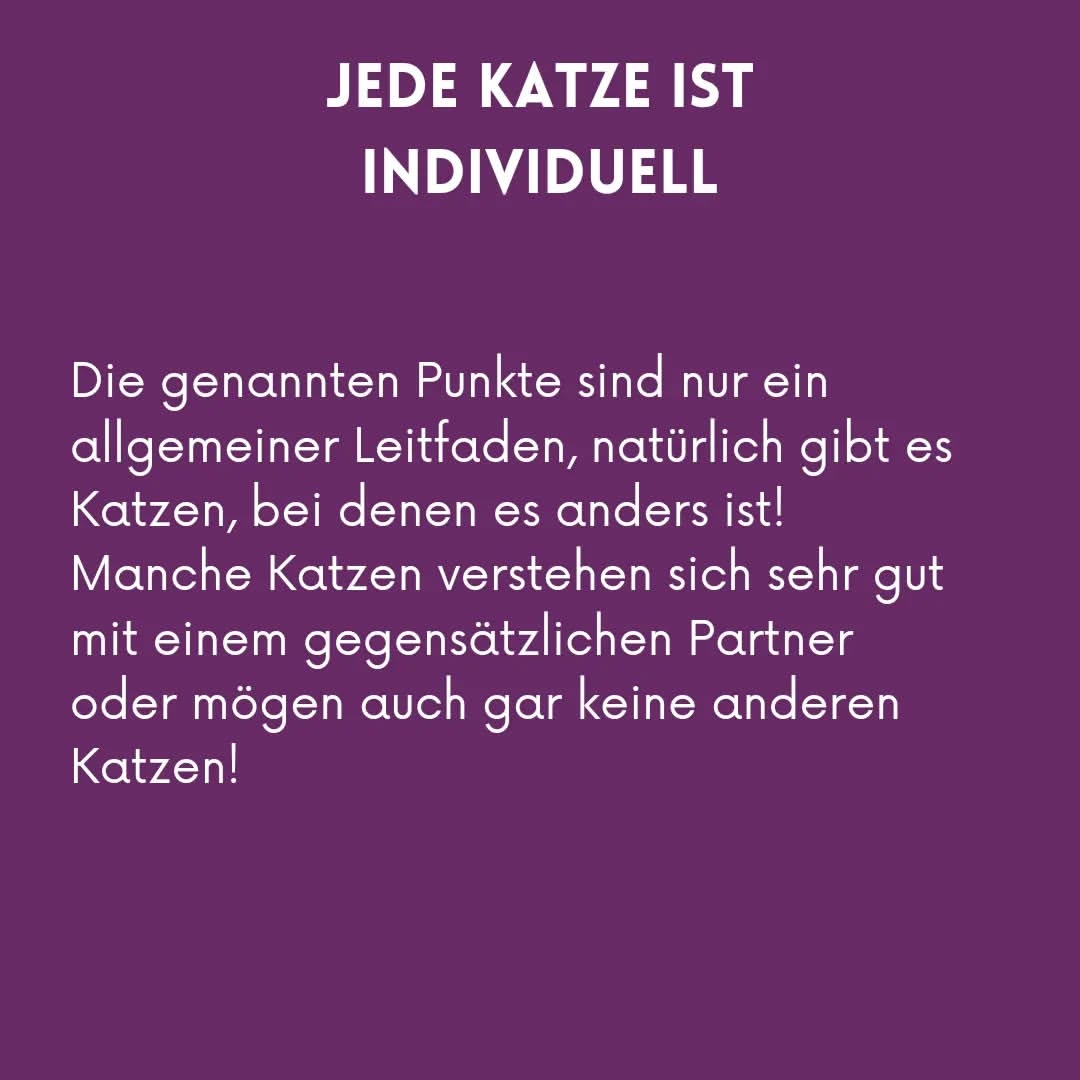 02_09_Jede Kazue ist individuell