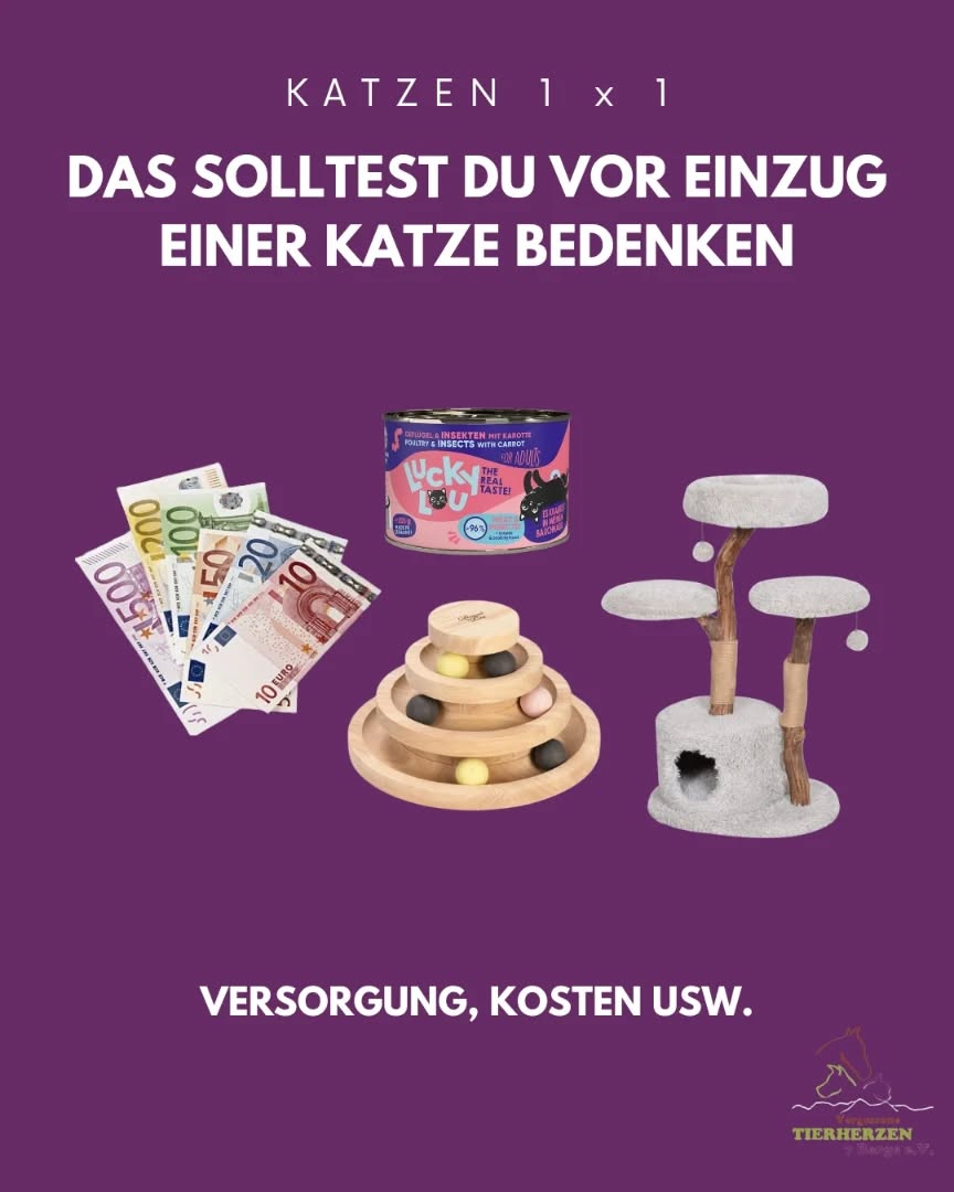 03_01_Vor dem Einzug