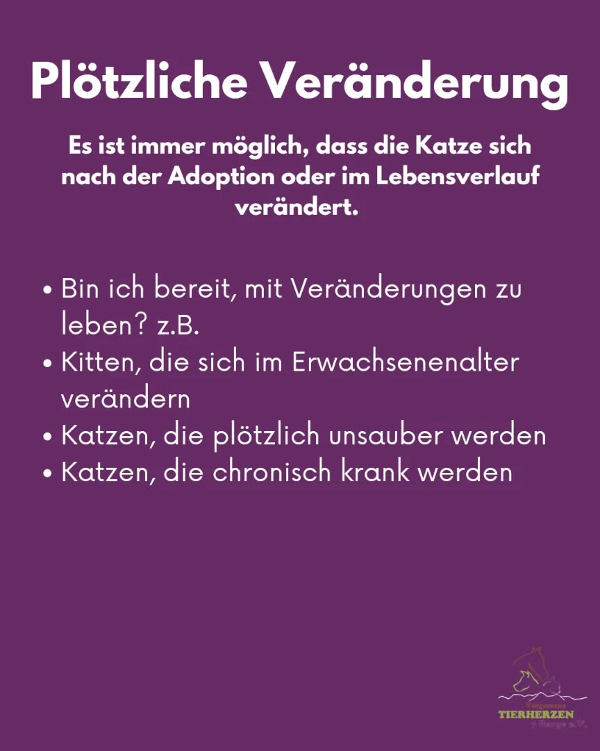 03_05_Plötzliche Veränderung