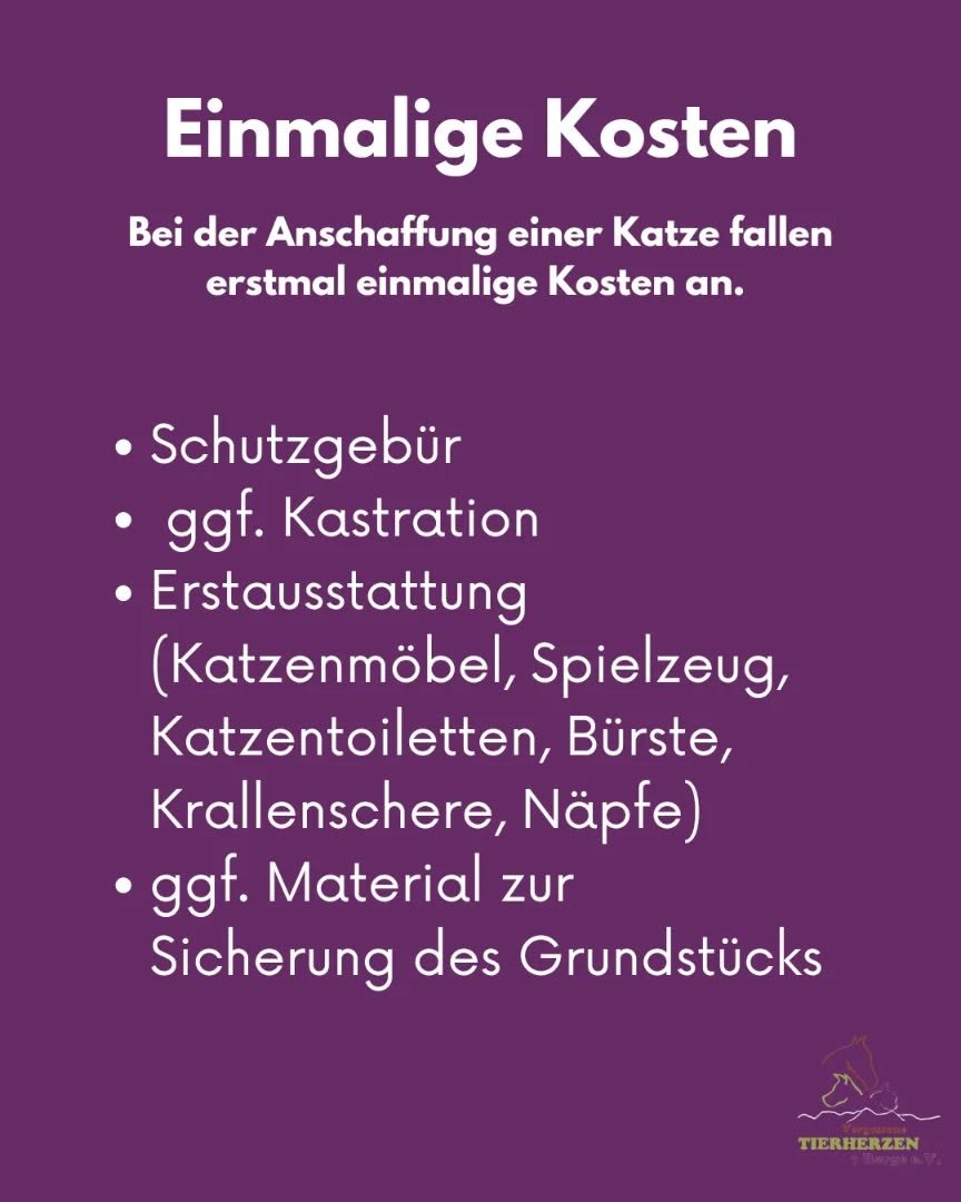 03_07_Einmalige Kosten
