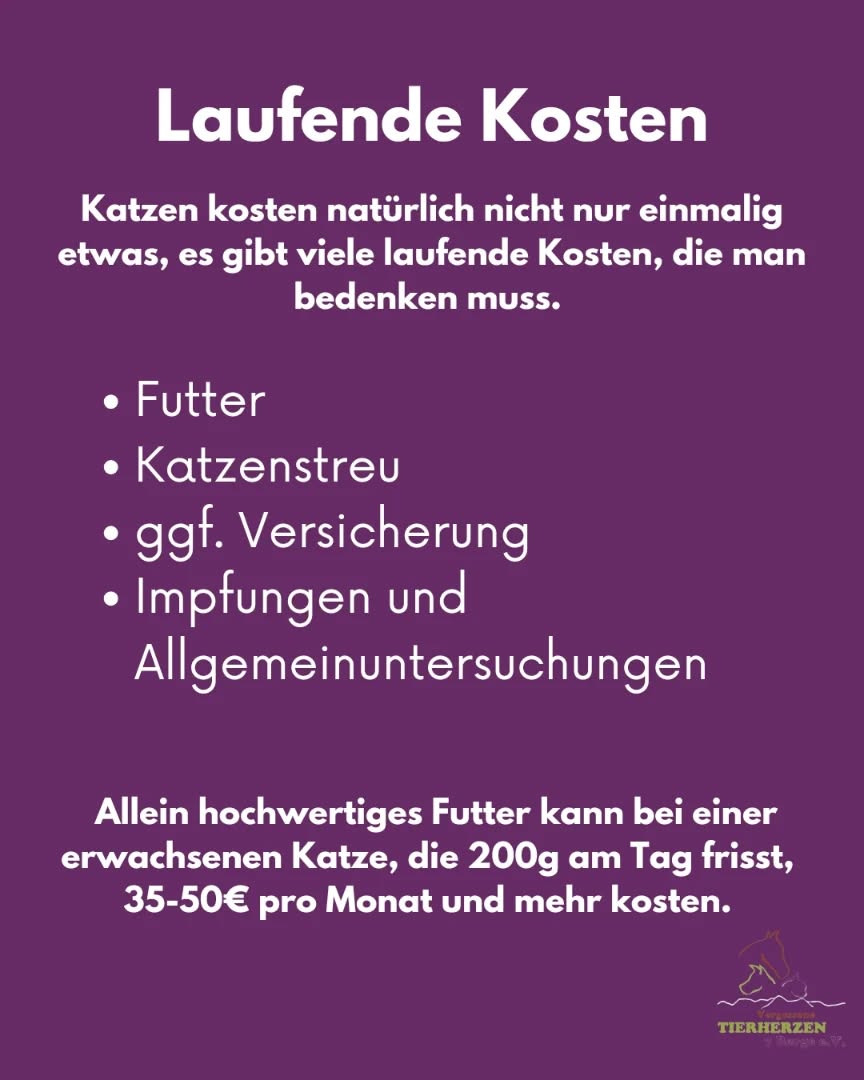 03_08_Laufende Kosten