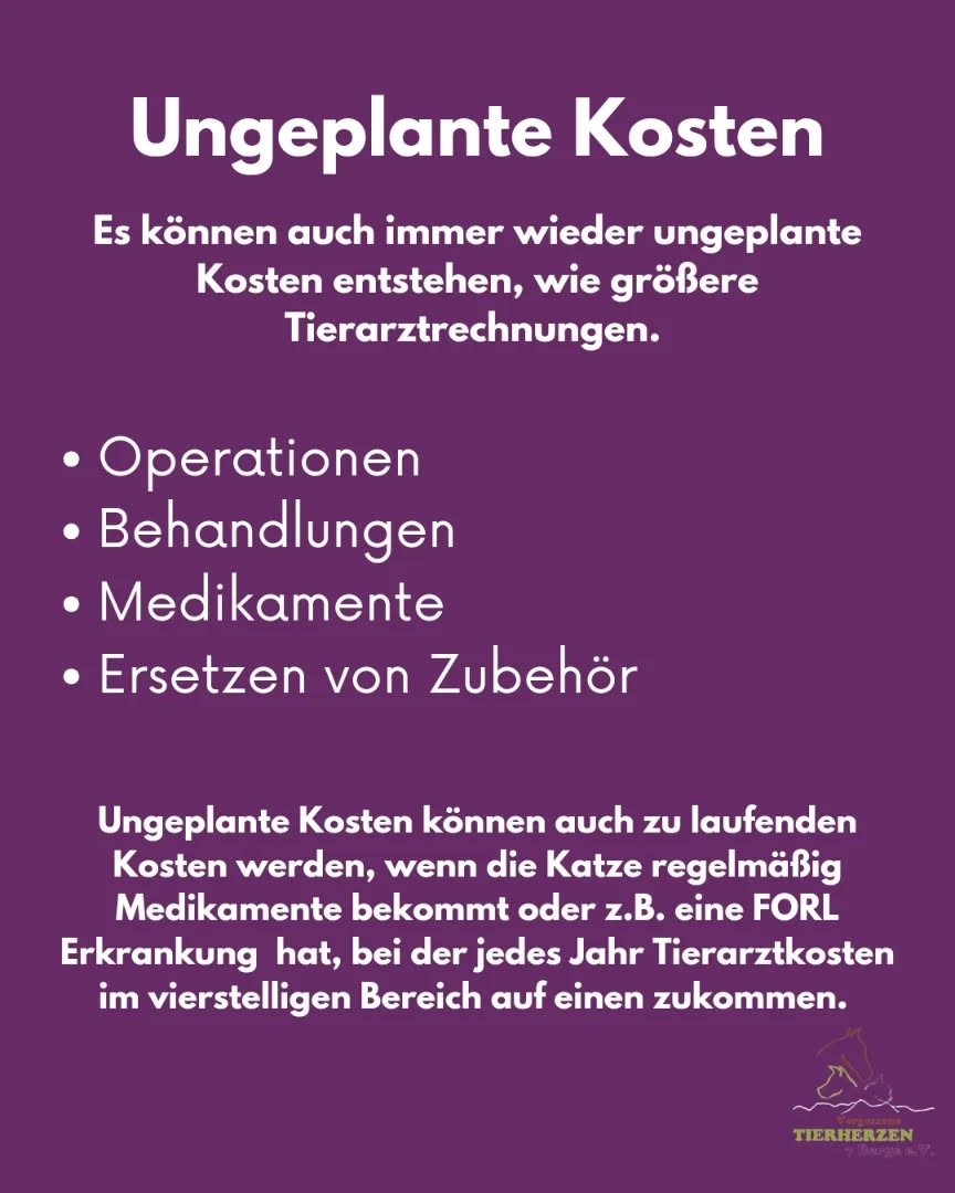 03_09_Ungeplante Kosten