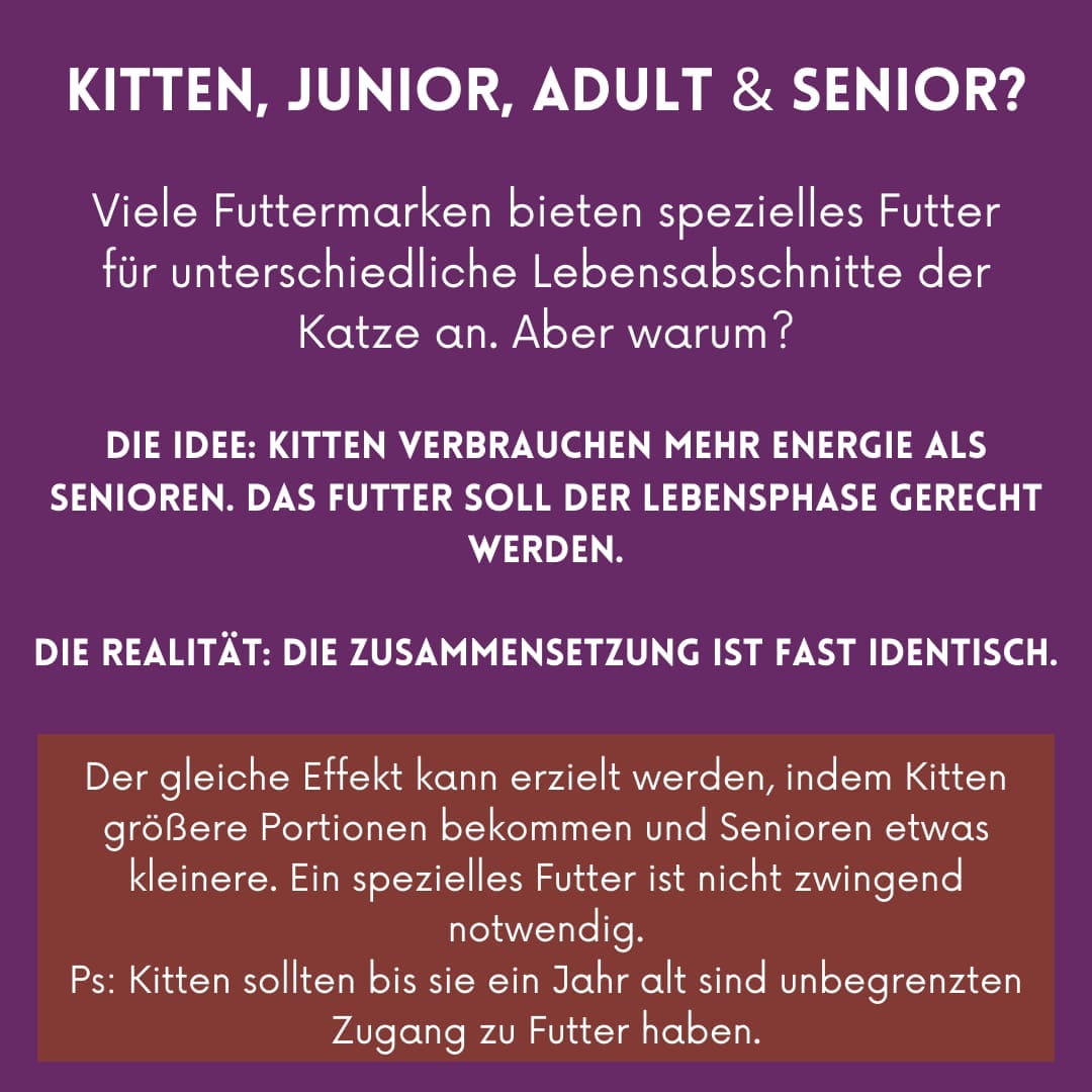 435363706_754321263499706_7776557276424848988_n