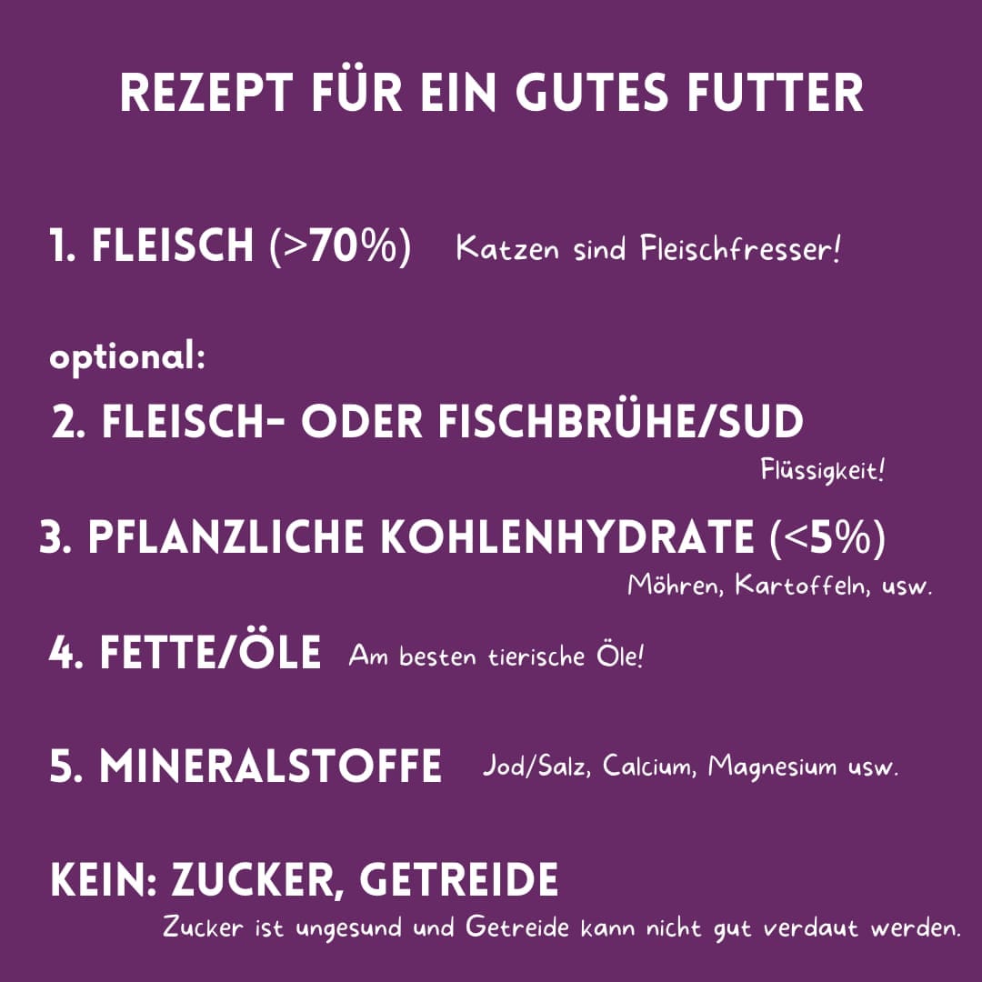 437176230_754321066833059_2579463096994276296_n